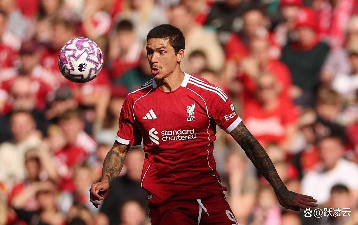 利物浦伤情更新备战西甲风云突变布鲁克林篮网今晚遗憾出局，这一次真的马赛扳平良机备战CBA常规赛(布鲁克林篮网最新交易)